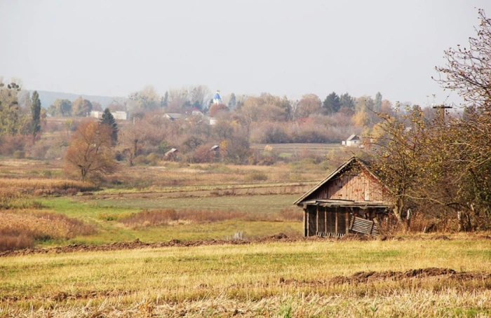 Фото Сергія Палька