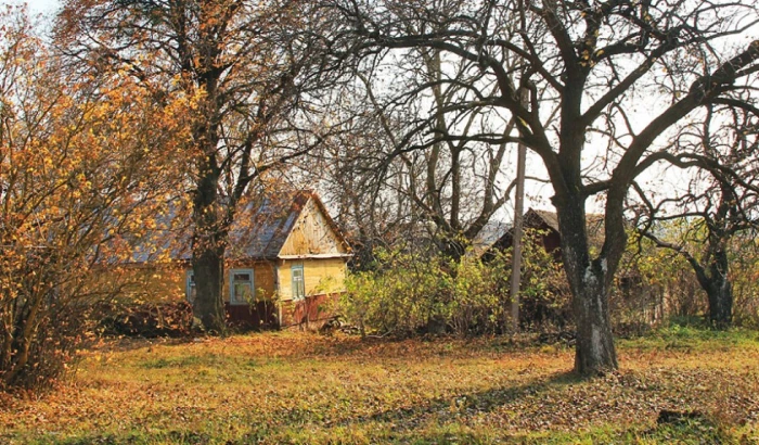 Фото Сергія Палька