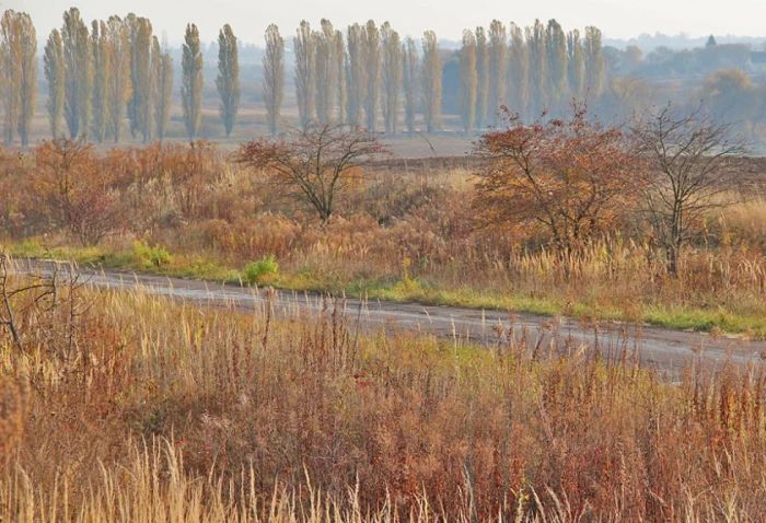 Фото Сергія Палька