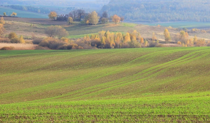 Фото Сергія Палька