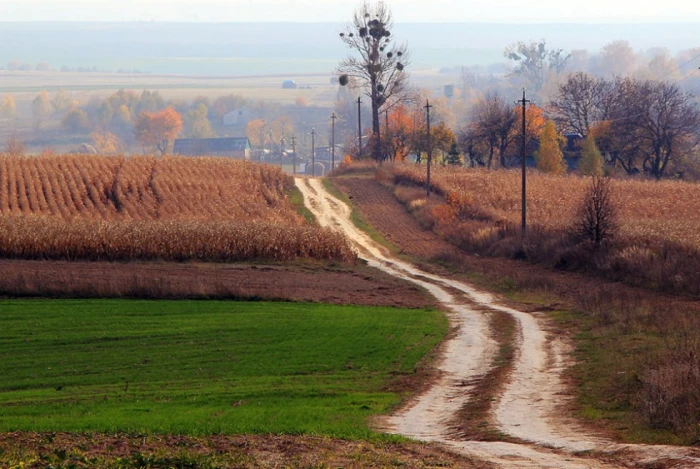 Фото Сергія Палька