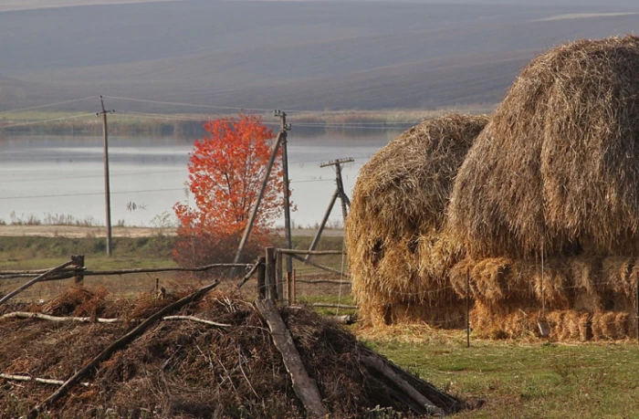 Фото Сергія Палька