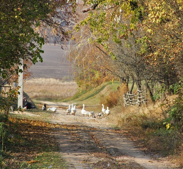 Фото Сергія Палька