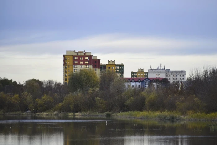 «Гнідавське болото» на світлинах Павла Березюка