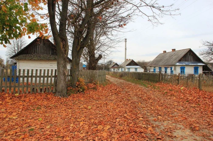 Волинське полісся на колоритних світлинах топографа