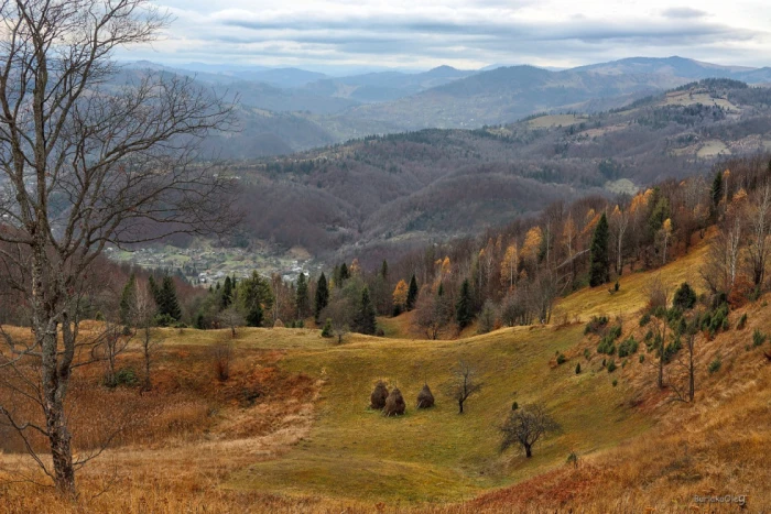 Волинський фотограф показав суворі осінні Карпати. ФОТО