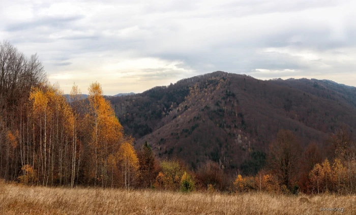 Волинський фотограф показав суворі осінні Карпати. ФОТО