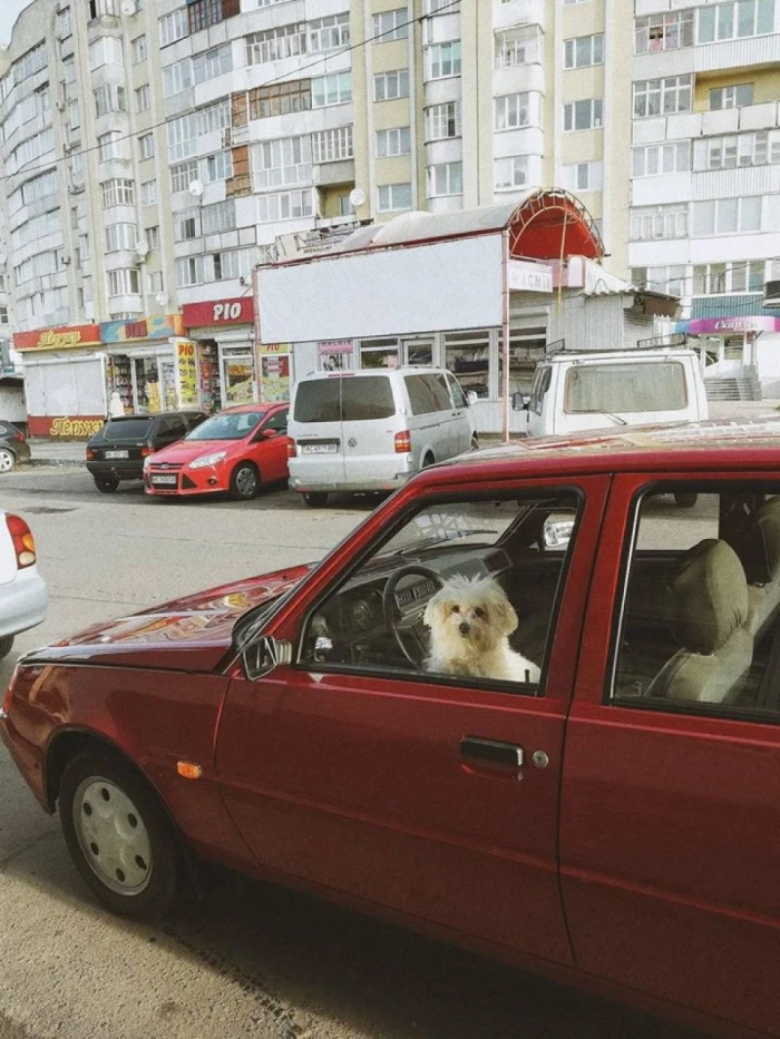 Фото Юлії Ройко