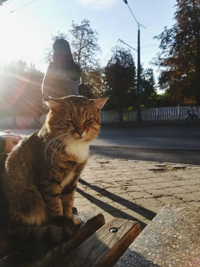 Фото Юлії Ройко