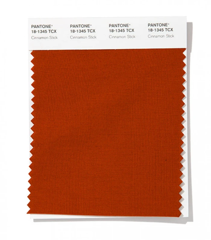 PANTONE 18-1345 Cinnamon Stick