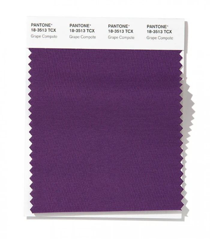 PANTONE 18-3513 Grape Compote