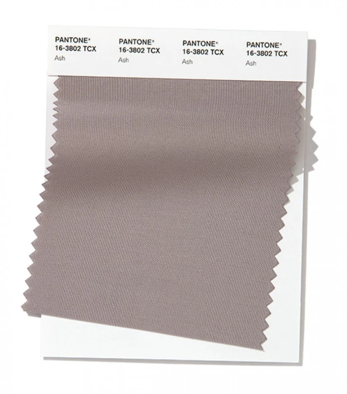 PANTONE 16-3802 Ash