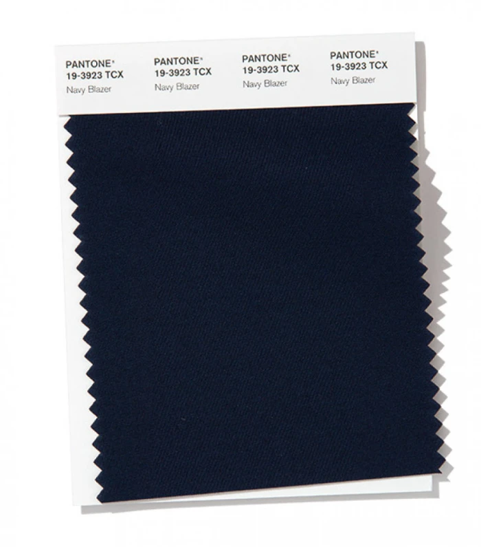 PANTONE 19-3923 Navy Blazer