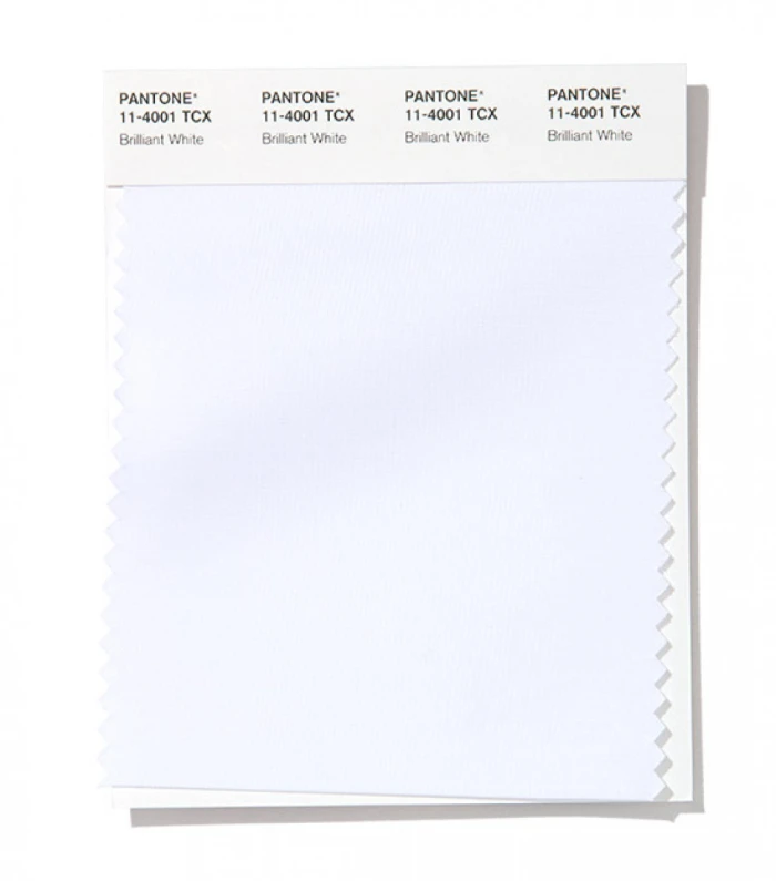 PANTONE 11-4001 Brilliant White