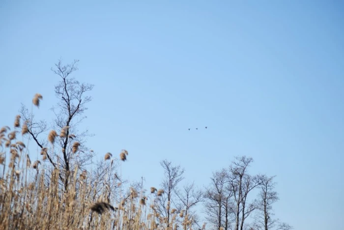 Весна у національному парку на Волині. ФОТО