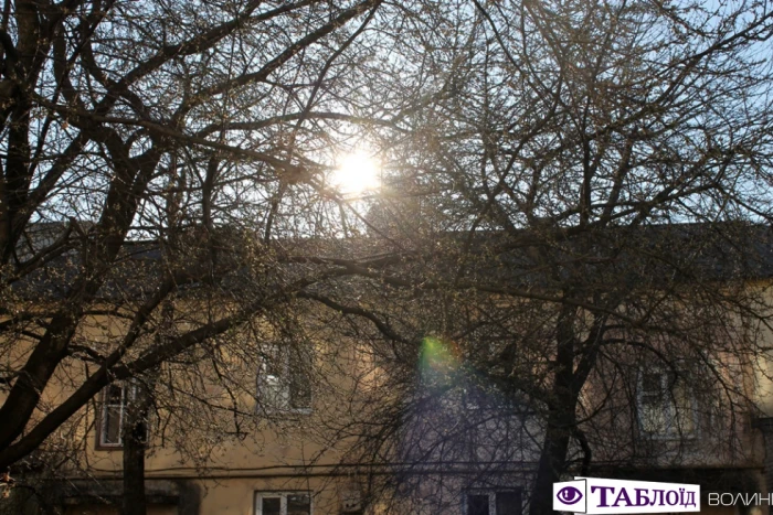 Перший цвіт і сонце: весна на луцьких вулицях. ФОТО