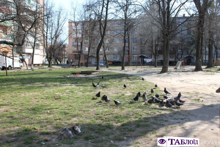 Карантин на Відродження: естетика порожніх луцьких двориків. ФОТО