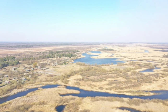 Пожежі поблизу волинського скансен-села: фото до та після, які шокують