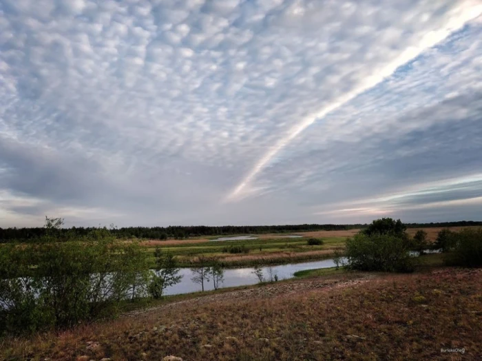 Фото Олега Бурлаки