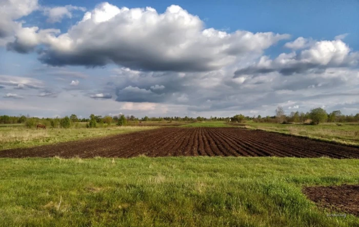 Фото Олега Бурлаки