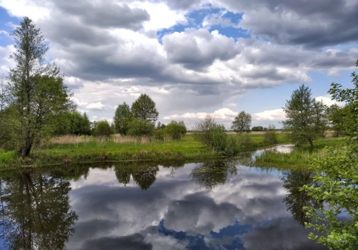 Фото Олега Бурлаки