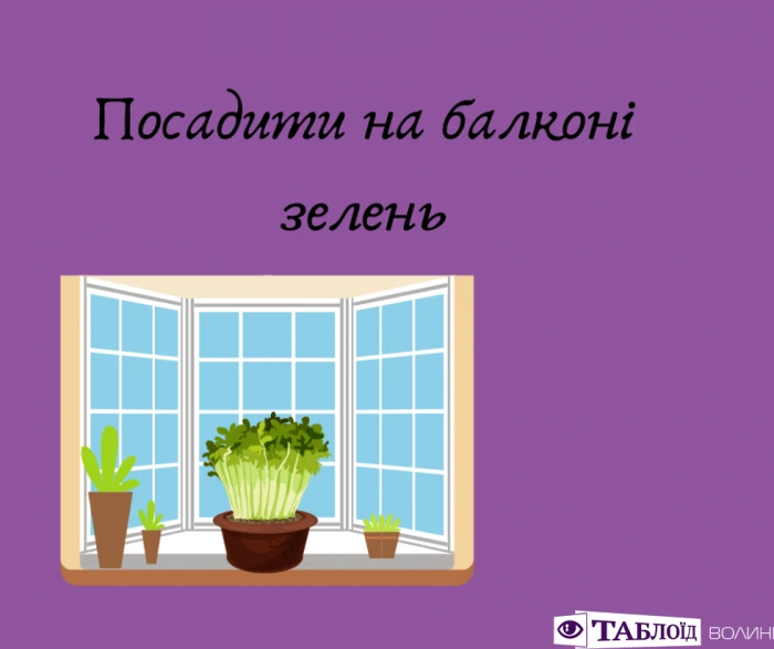 Що варто встигнути у червні: планер від «Таблоїда Волині»