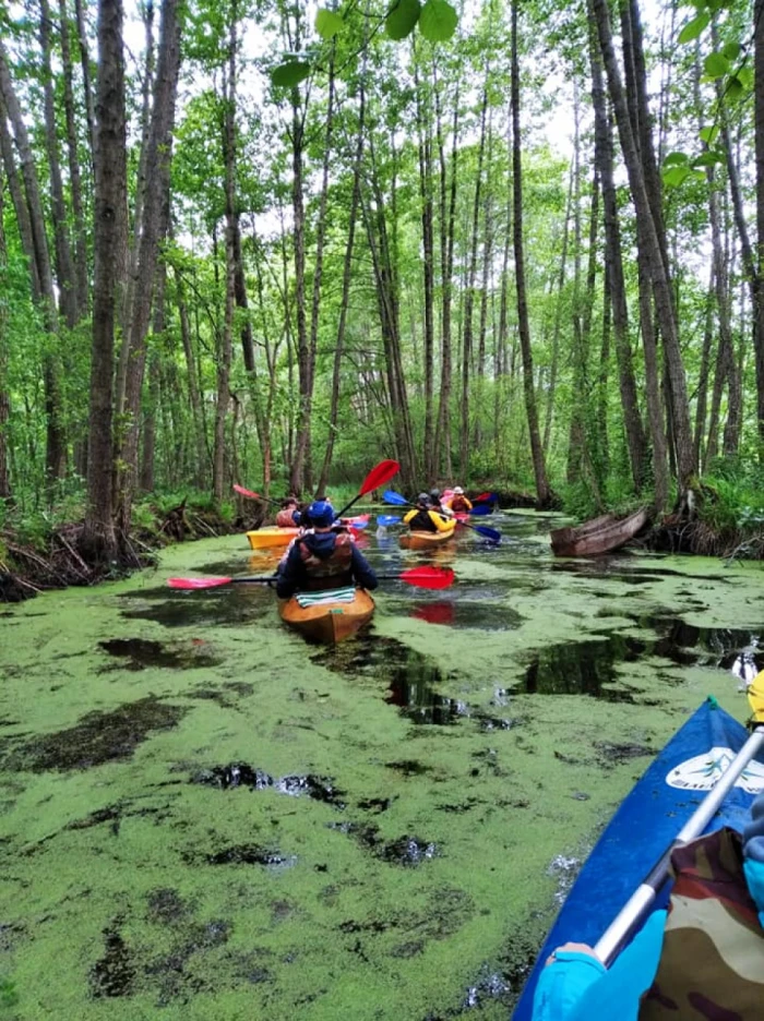 Лілії, черепахи і пригоди: як подорожують волинськими річками. ФОТО