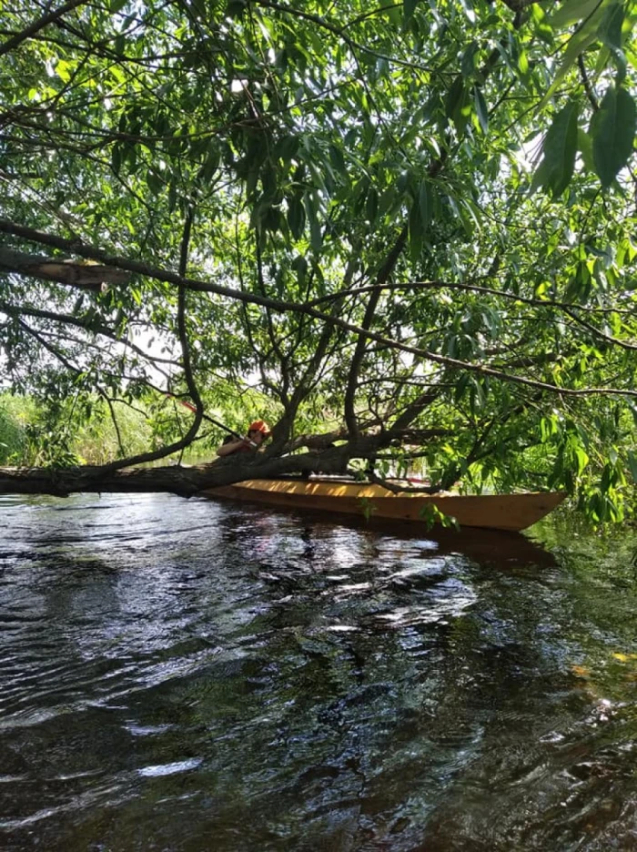 Лілії, черепахи і пригоди: як подорожують волинськими річками. ФОТО