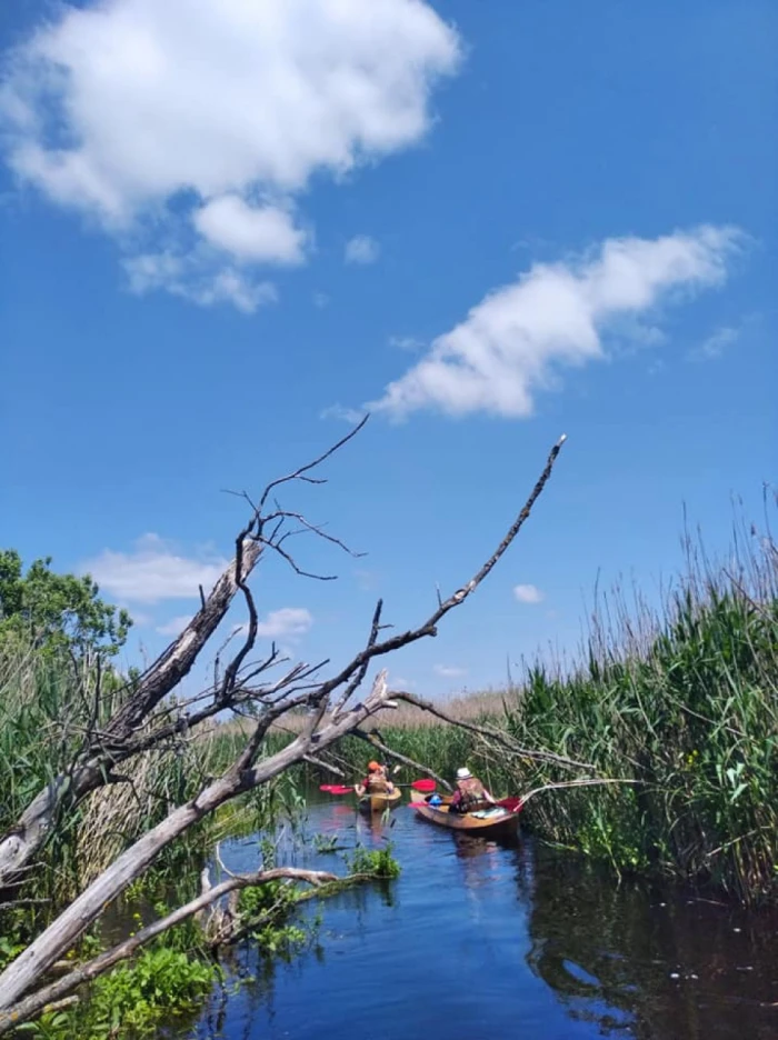 Лілії, черепахи і пригоди: як подорожують волинськими річками. ФОТО