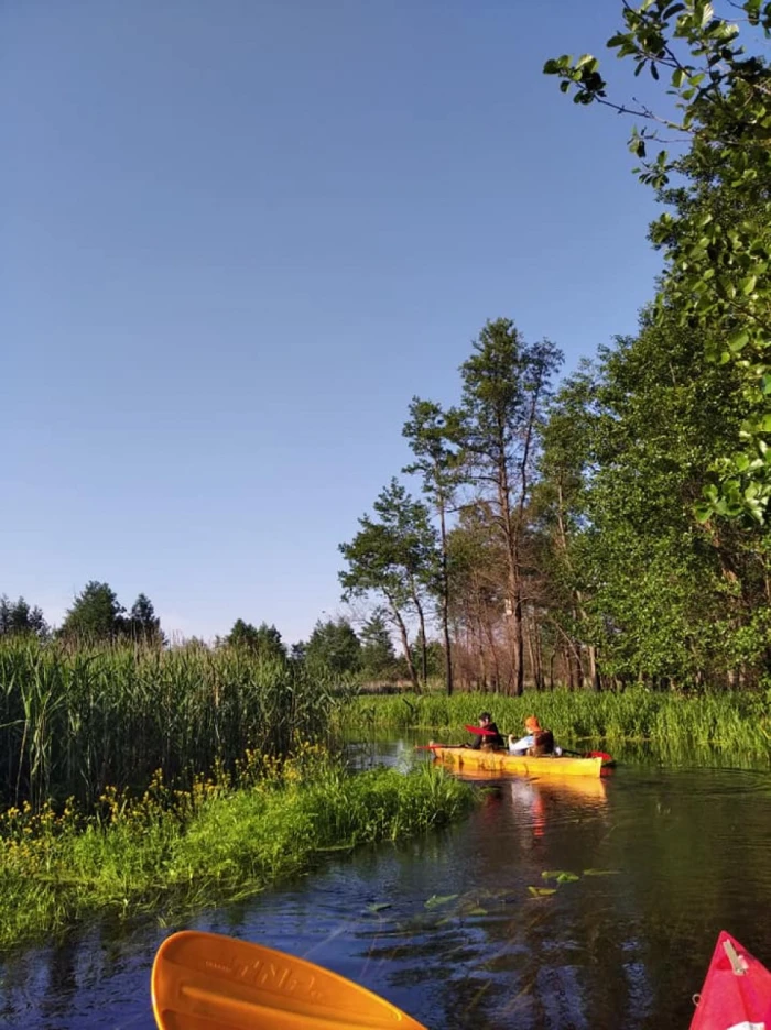 Лілії, черепахи і пригоди: як подорожують волинськими річками. ФОТО