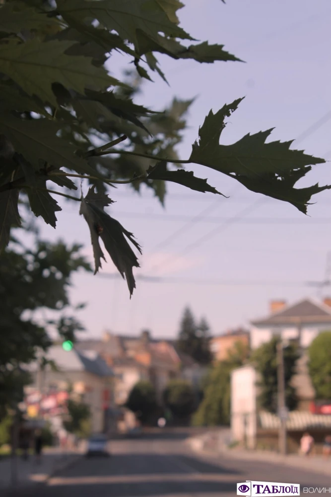 Липневі вихідні у Луцьку: фоторепортаж із прогулянки містом