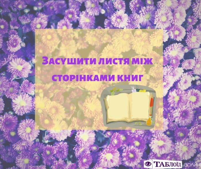 Що варто встигнути у вересні: планер від «Таблоїда Волині»