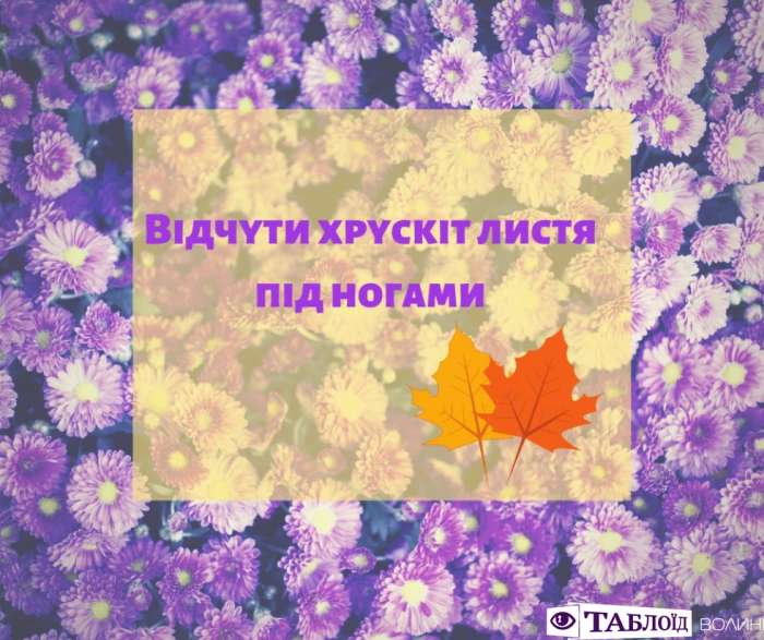 Що варто встигнути у вересні: планер від «Таблоїда Волині»