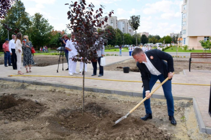 Сквер біля Волинського перинатального центру