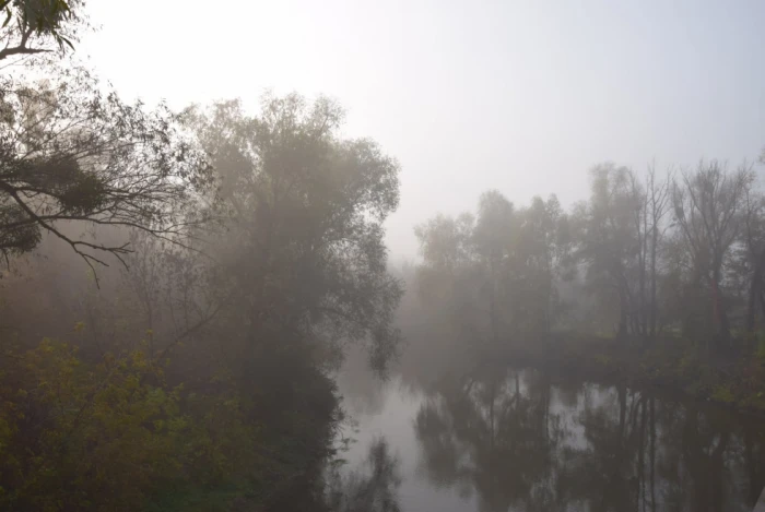 Старе місто в тумані