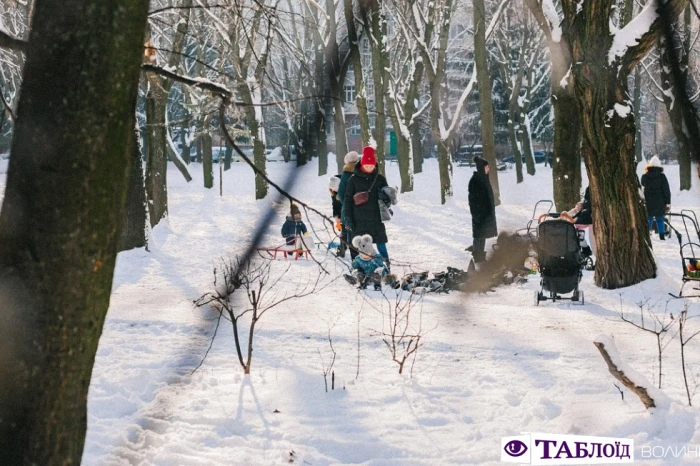 Зима в деталях: атмосферні макрознімки луцької фотографки  