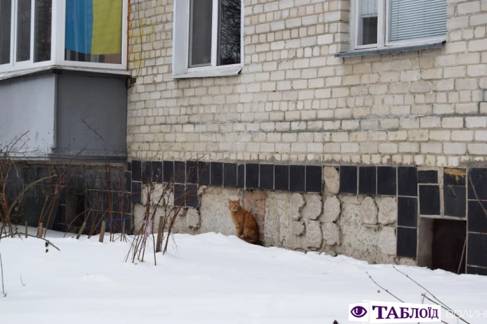 «Посиджу тут, поки сніг не розтане»