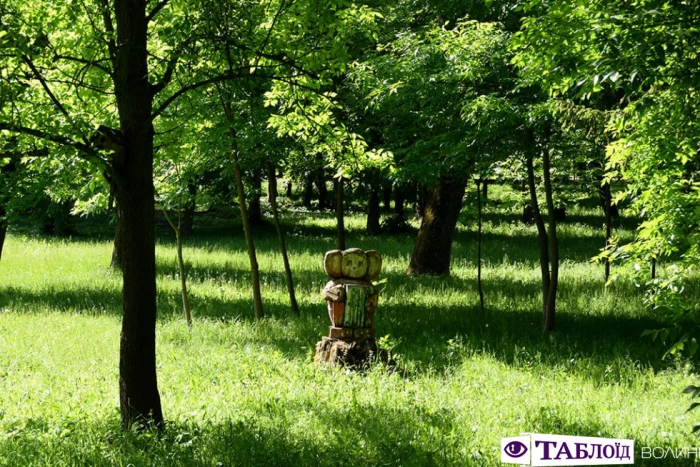 Луцьк ранковий: тепле літо та вранішні пробіжки у Центральному парку