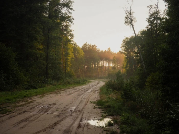 Фото Олега Леоновича