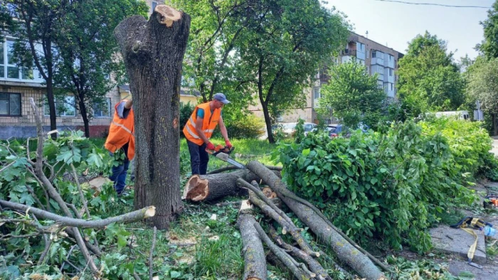 Фото: Суспільне Луцьк