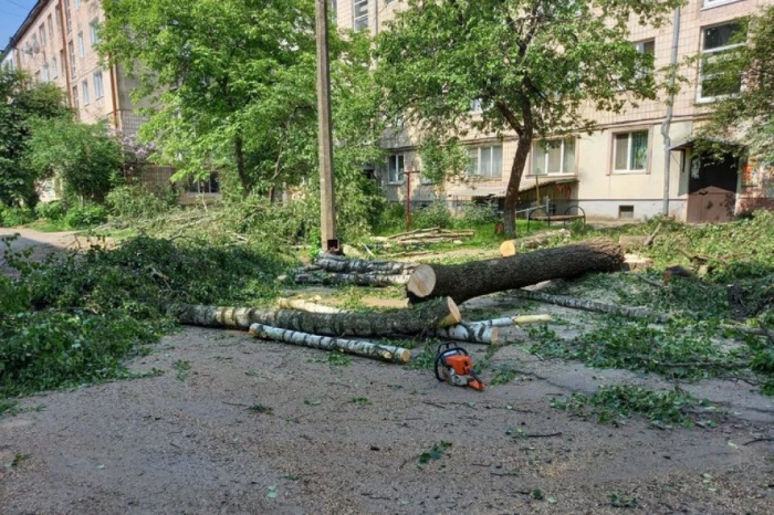 Фото: Суспільне Луцьк