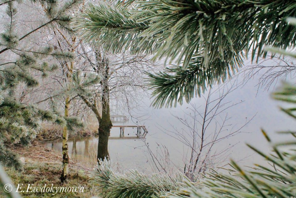 Містичний туман на волинському озері Люцимер