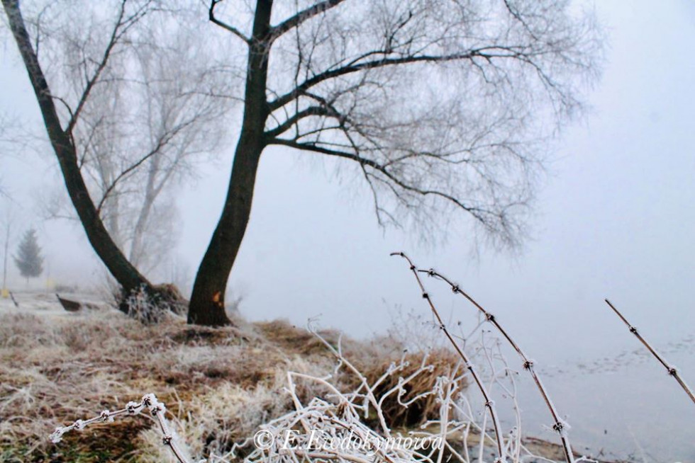 Містичний туман на волинському озері Люцимер