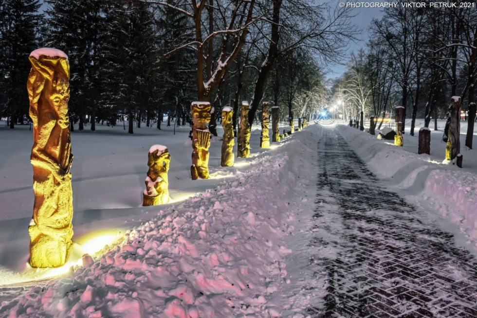 Зимовий парк Віктора Петрука